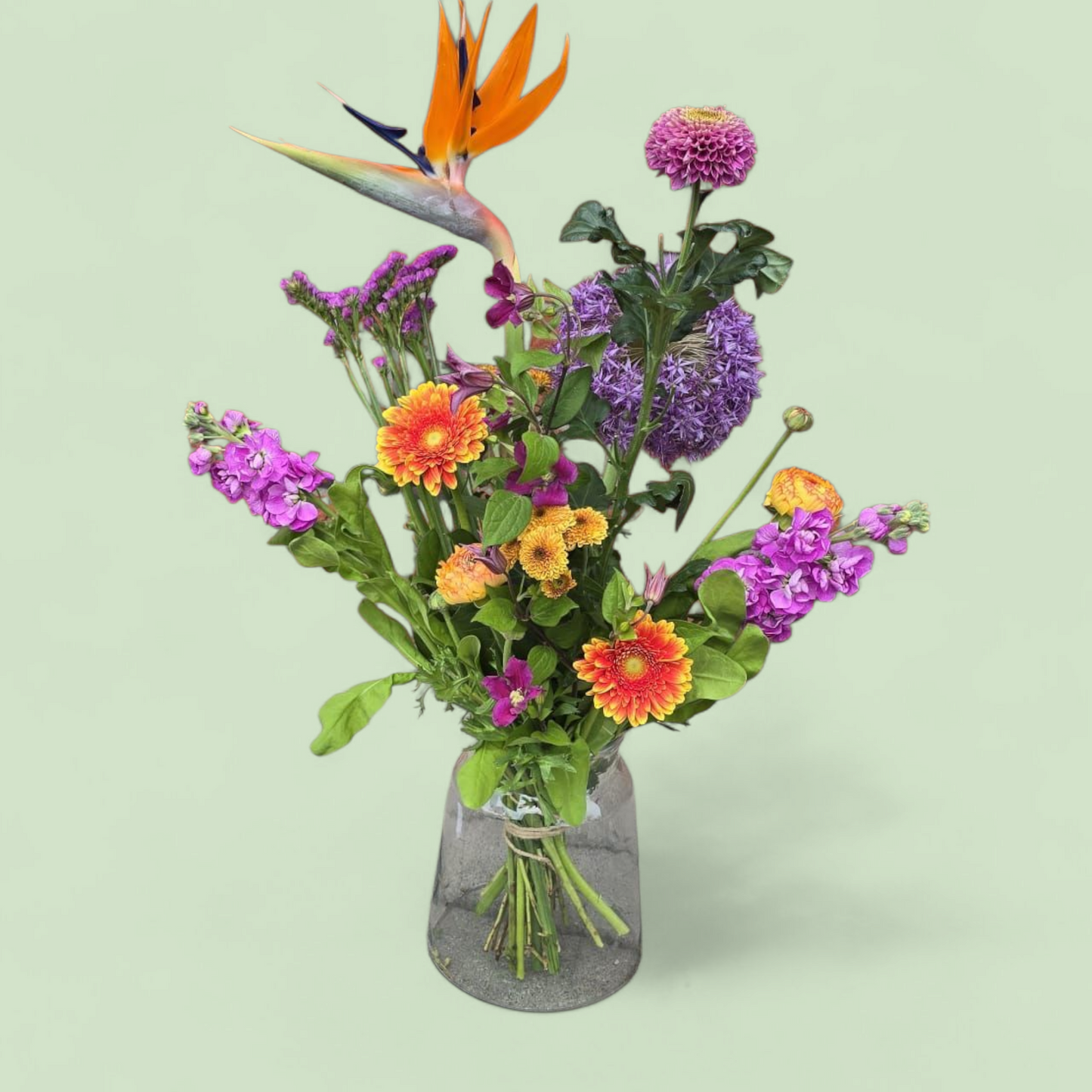 Moederdag plukboeket – oranje Paars | Met gerbera gerbera, violier, strelitzia en andere seizoensbloemen