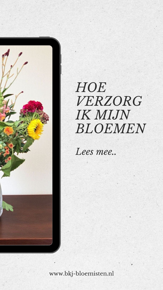 Hoe verzorg ik mijn boeket bloemen? – Tips van BKJ Bloemisten