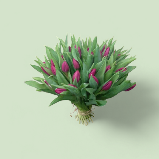 Boeket tulpen paars