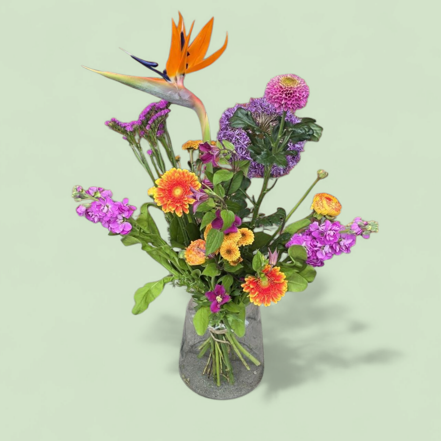 Moederdag plukboeket – oranje Paars | Met gerbera gerbera, violier, strelitzia en andere seizoensbloemen