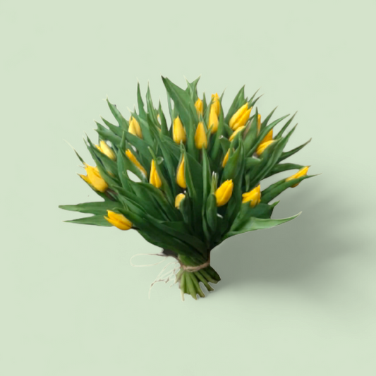 boeket met gele tulpen